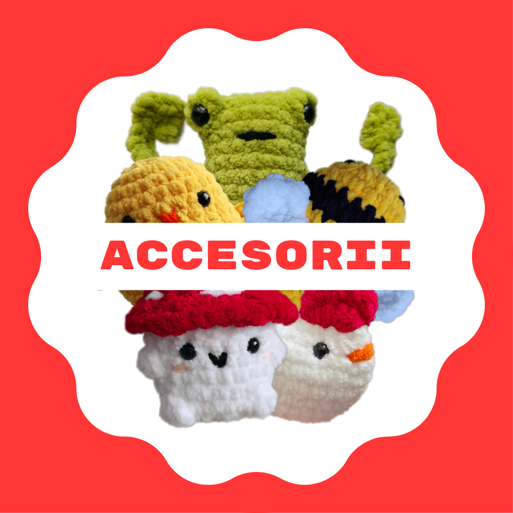 Accesorii